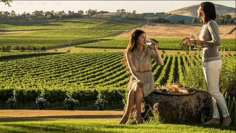 Yarra Valley Wineries, guide to Yarra Valley, Best Wineries, Melbourne's Best wineries