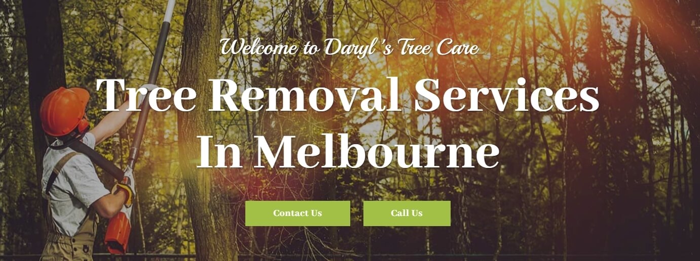 Daryl's Tree Care & Surgery Cover