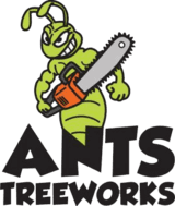 Ants Treeworks Logo