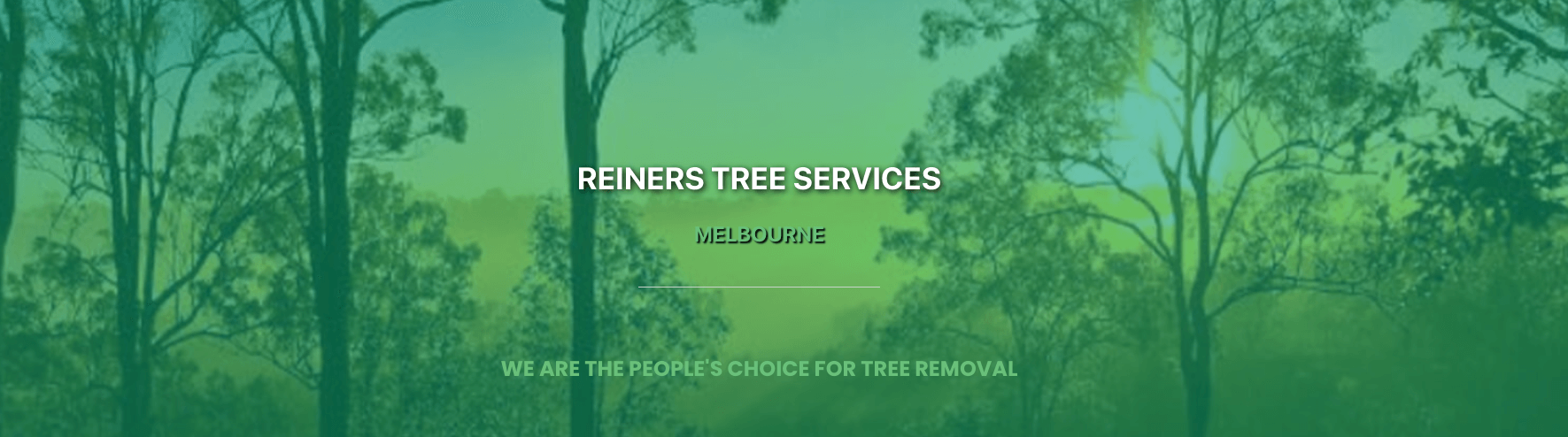 RTS, Reiners tree services banner