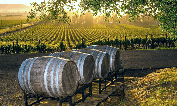 Melbourne Winery