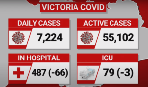 Victoria Covid Cases